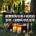 被宠物狗咬后不能吃的食物(宠物狗咬伤后需避免的食物及其危害)(图2) 被宠物狗咬后不能吃的食物(宠物狗咬伤后需避免的食物及其危害)(图2)