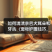 如何清洁京巴犬耳朵和牙齿(宠物护理技巧,提高京巴犬健康指数)(图4) 如何清洁京巴犬耳朵和牙齿(宠物护理技巧,提高京巴犬健康指数)(图4)
