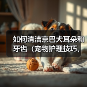 如何清洁京巴犬耳朵和牙齿(宠物护理技巧,提高京巴犬健康指数)(图2) 如何清洁京巴犬耳朵和牙齿(宠物护理技巧,提高京巴犬健康指数)(图2)