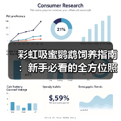 彩虹吸蜜鹦鹉饲养指南：新手必看的全方位照