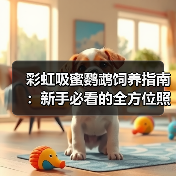 彩虹吸蜜鹦鹉饲养指南:新手必看的全方位照顾技巧(图4) 彩虹吸蜜鹦鹉饲养指南:新手必看的全方位照顾技巧(图4)