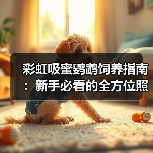彩虹吸蜜鹦鹉饲养指南:新手必看的全方位照顾技巧(图3) 彩虹吸蜜鹦鹉饲养指南:新手必看的全方位照顾技巧(图3)
