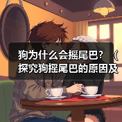 狗为什么会摇尾巴?(探究狗摇尾巴的原因及意义)(图2) 狗为什么会摇尾巴?(探究狗摇尾巴的原因及意义)(图2)