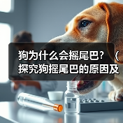 狗为什么会摇尾巴?(探究狗摇尾巴的原因及意义)(图4) 狗为什么会摇尾巴?(探究狗摇尾巴的原因及意义)(图4)