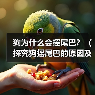 狗为什么会摇尾巴？（探究狗摇尾巴的原因及