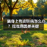 猫身上有皮肤病怎么办?找准病因是关键(图4) 猫身上有皮肤病怎么办?找准病因是关键(图4)