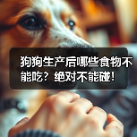 狗狗生产后哪些食物不能吃？绝对不能碰！