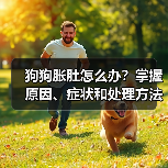 狗狗胀肚怎么办?掌握原因、症状和处理方法避免严重后果(图2) 狗狗胀肚怎么办?掌握原因、症状和处理方法避免严重后果(图2)