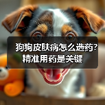 狗狗皮肤病怎么选药？精准用药是关键