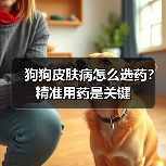 狗狗皮肤病怎么选药?精准用药是关键(图4) 狗狗皮肤病怎么选药?精准用药是关键(图4)