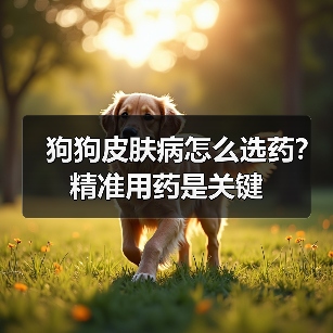 狗狗皮肤病怎么选药?精准用药是关键(图3) 狗狗皮肤病怎么选药?精准用药是关键(图3)