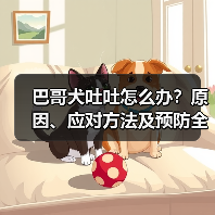 巴哥犬吐吐怎么办?原因、应对方法及预防全解析(图4) 巴哥犬吐吐怎么办?原因、应对方法及预防全解析(图4)