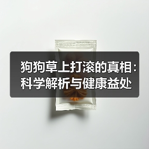 狗狗草上打滚的真相：科学解析与健康益处 - 辰飞雨新生家伴