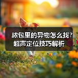 脓包里的异物怎么找?超声定位技巧解析(图1) 脓包里的异物怎么找?超声定位技巧解析(图1)