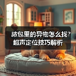 脓包里的异物怎么找?超声定位技巧解析(图3) 脓包里的异物怎么找?超声定位技巧解析(图3)