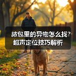 脓包里的异物怎么找?超声定位技巧解析(图4) 脓包里的异物怎么找?超声定位技巧解析(图4)