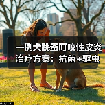 一例犬跳蚤叮咬性皮炎治疗方案:抗菌+驱虫综合管理成功案例(图1) 一例犬跳蚤叮咬性皮炎治疗方案:抗菌+驱虫综合管理成功案例(图1)