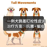 一例犬跳蚤叮咬性皮炎治疗方案:抗菌+驱虫综合管理成功案例(图3) 一例犬跳蚤叮咬性皮炎治疗方案:抗菌+驱虫综合管理成功案例(图3)