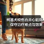 柯基犬咬伤合并心脏病:保守治疗难点与效果分析(图2) 柯基犬咬伤合并心脏病:保守治疗难点与效果分析(图2)