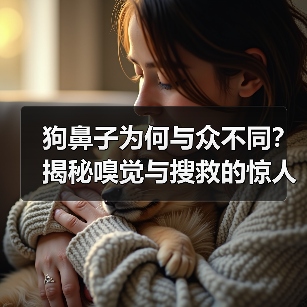 狗鼻子为何与众不同?揭秘嗅觉与搜救的惊人关联(图2) 狗鼻子为何与众不同?揭秘嗅觉与搜救的惊人关联(图2)