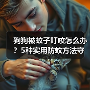 狗狗被蚊子叮咬怎么办?5种实用防蚊方法守护宠物健康(图3) 狗狗被蚊子叮咬怎么办?5种实用防蚊方法守护宠物健康(图3)