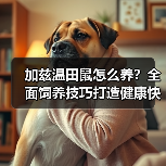 加兹温田鼠怎么养?全面饲养技巧打造健康快乐生活(图2) 加兹温田鼠怎么养?全面饲养技巧打造健康快乐生活(图2)
