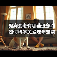 狗狗变老有哪些迹象?如何科学关爱老年宠物(图3) 狗狗变老有哪些迹象?如何科学关爱老年宠物(图3)