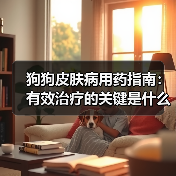 狗狗皮肤病用药指南：有效治疗的关键是什么？(图3)
