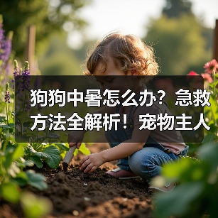 狗狗中暑怎么办？急救方法全解析！宠物主人必看(图3)