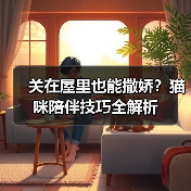 关在屋里也能撒娇?猫咪陪伴技巧全解析(图4) 关在屋里也能撒娇?猫咪陪伴技巧全解析(图4)