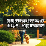 狗狗皮肤问题药物治疗全解析：如何正确用药