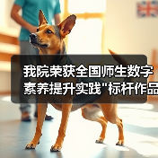 我院荣获全国师生数字素养提升实践 我院荣获全国师生数字素养提升实践标杆作品!(图2)