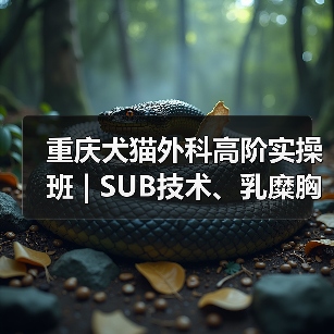 重庆犬猫外科高阶实操班 | SUB技术、乳糜胸手术等疑难实操提升(图2) 重庆犬猫外科高阶实操班 | SUB技术、乳糜胸手术等疑难实操提升(图2)