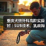 重庆犬猫外科高阶实操班 | SUB技术、乳糜胸手术等疑难实操提升(图4) 重庆犬猫外科高阶实操班 | SUB技术、乳糜胸手术等疑难实操提升(图4)