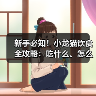 新手必知！小龙猫饮食全攻略：吃什么、怎么喂？15大要点揭秘 - 辰飞雨新生家伴