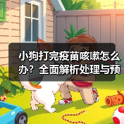 小狗打完疫苗咳嗽怎么办？全面解析处理与预防措施(图3)