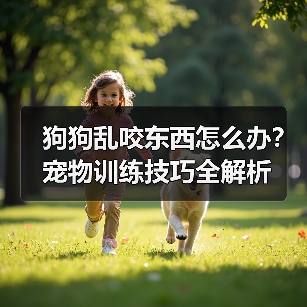 狗狗乱咬东西怎么办?宠物训练技巧全解析(图2) 狗狗乱咬东西怎么办?宠物训练技巧全解析(图2)
