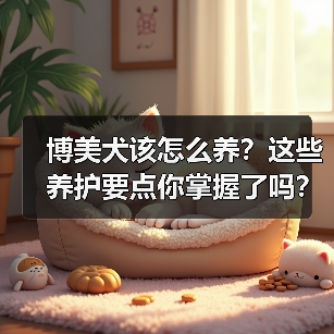 博美犬该怎么养？这些养护要点你掌握了吗？ - 辰飞雨新生家伴