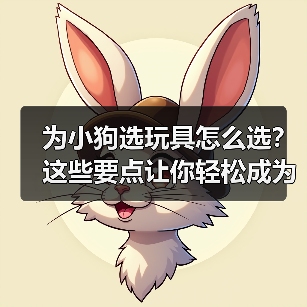 为小狗选玩具怎么选？这些要点让你轻松成为最佳伙伴 - 辰飞雨新生家伴