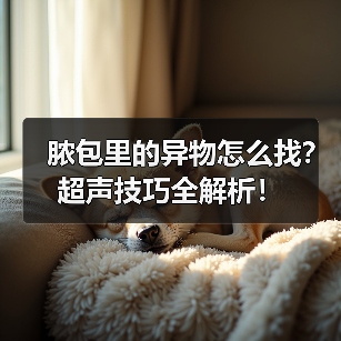脓包里的异物怎么找?超声技巧全解析!(图1) 脓包里的异物怎么找?超声技巧全解析!(图1)