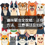 猫咪驱虫全攻略：正确方法、注意事项及如何预防寄生虫危害 - 辰飞雨新生家伴