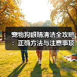 宠物狗眼睛清洁全攻略：正确方法与注意事项 - 辰飞雨新生家伴