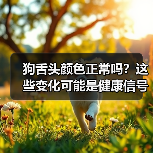 狗舌头颜色正常吗？这些变化可能是健康信号