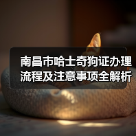 南昌市哈士奇狗证办理流程及注意事项全解析(图4) 南昌市哈士奇狗证办理流程及注意事项全解析(图4)