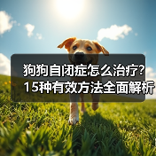 狗狗自闭症怎么治疗?15种有效方法全面解析(图2) 狗狗自闭症怎么治疗?15种有效方法全面解析(图2)