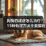 狗狗自闭症怎么治疗?15种有效方法全面解析(图3) 狗狗自闭症怎么治疗?15种有效方法全面解析(图3)