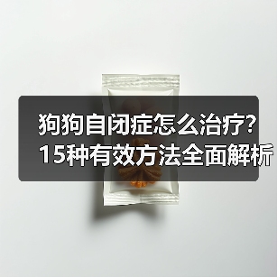 狗狗自闭症怎么治疗?15种有效方法全面解析(图4) 狗狗自闭症怎么治疗?15种有效方法全面解析(图4)