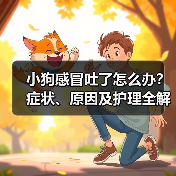 小狗感冒吐了怎么办?症状、原因及护理全解析(图3) 小狗感冒吐了怎么办?症状、原因及护理全解析(图3)