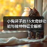 小狗鼻子的15大奇妙功能与独特特征全解析(图3)