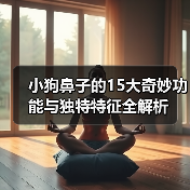 小狗鼻子的15大奇妙功能与独特特征全解析(图4)